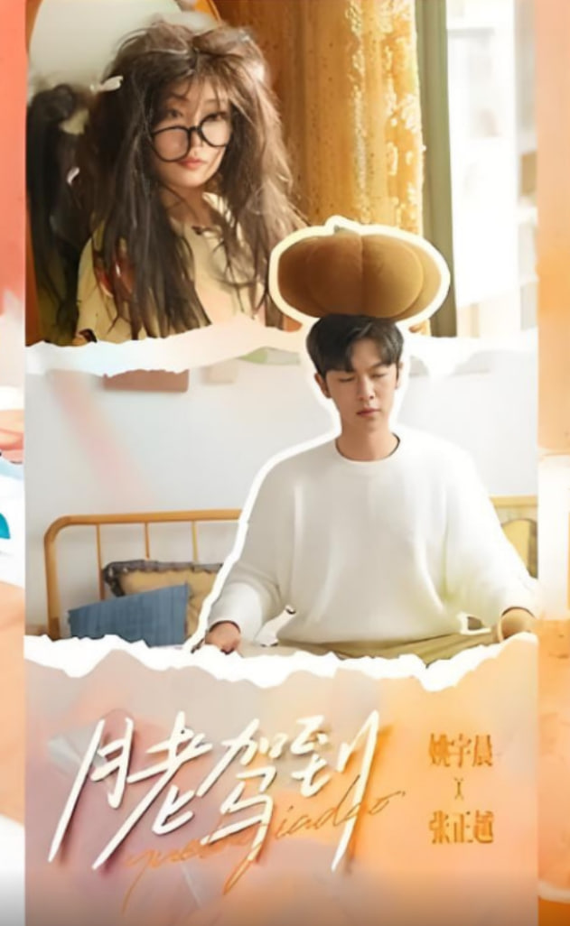 月老驾到(全集)