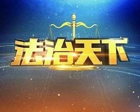 法治天下(全集)