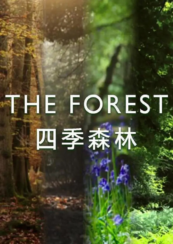 四季森林 第一季(全集)
