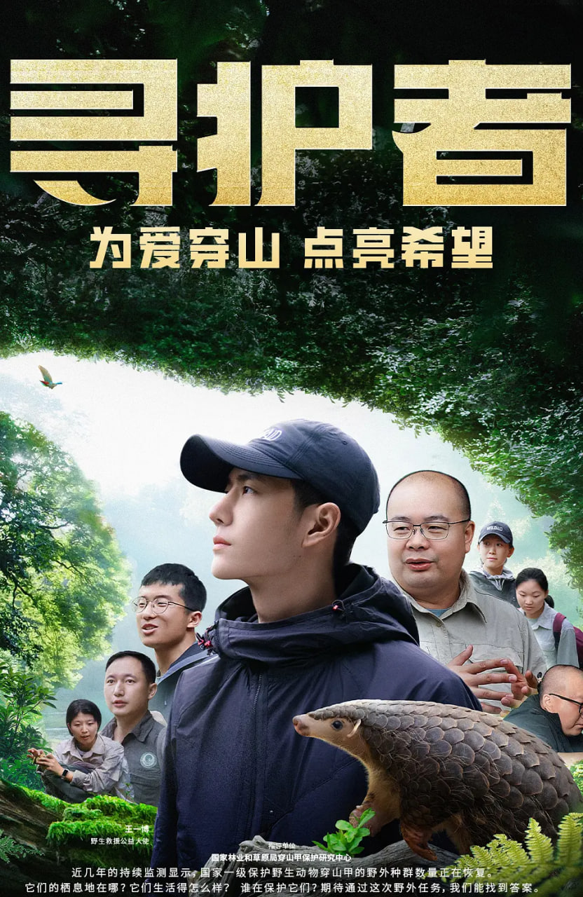 寻护者(全集)