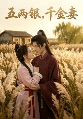 五两银，千金妻(全集)